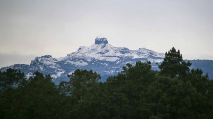 VIDEO: Así se vivió la primera nevada de la temporada en el Cofre de Perote