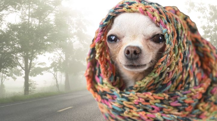 ¿Cuál es el municipio más frío en Hidalgo durante el invierno?