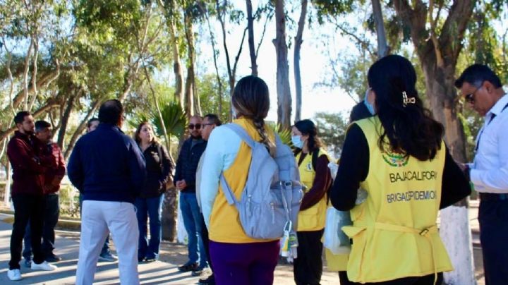 Confirman los primeros casos de gripe aviar en Tijuana