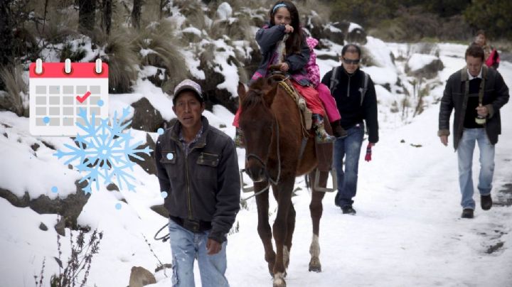 Nevadas en el Cofre de Perote: Cuándo, cómo llegar y recomendaciones