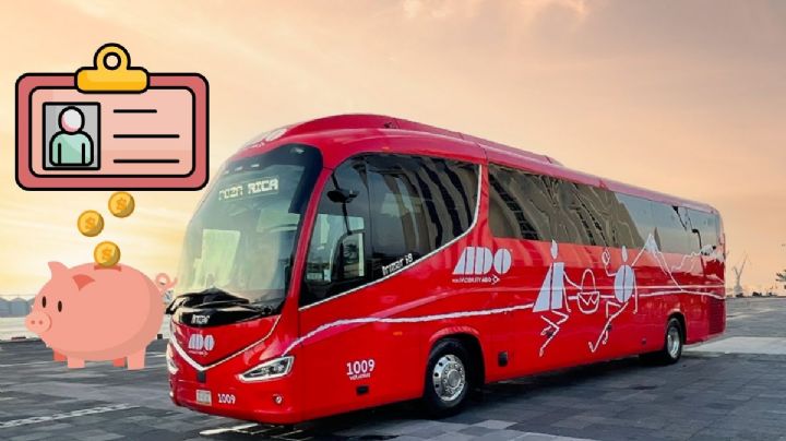 Descuento a estudiantes en autobuses ADO en Veracruz por vacaciones; esto debes saber