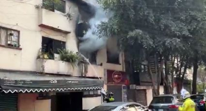 Triste navidad en CDMX: incendio cobra la vida de 1 perrito en colonia Juárez