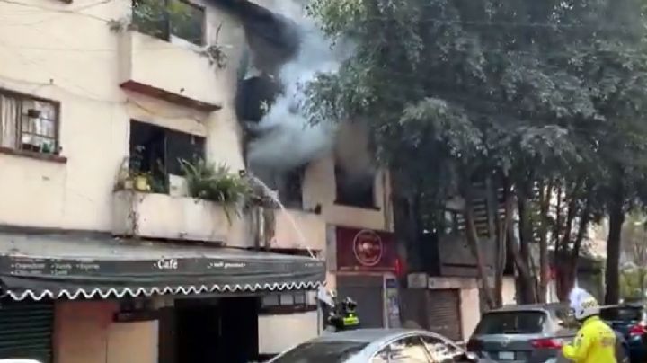 Triste navidad en CDMX: incendio cobra la vida de 1 perrito en colonia Juárez
