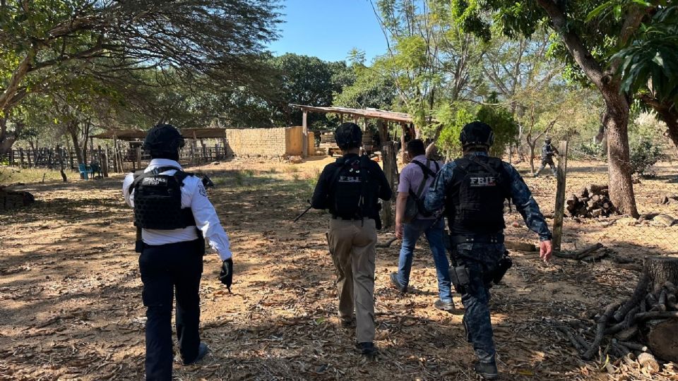 Hallan fosas clandestinas y cadáveres en La Concordia, Chiapas