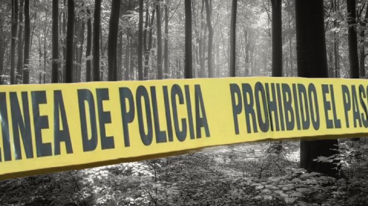 Encuentran muerto a hombre en bosque de Mineral del Chico