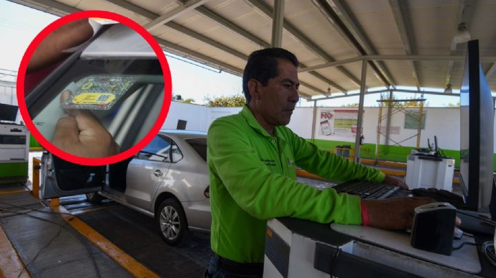 Así debe ser el holograma para que tu auto circule todos los días del 2025