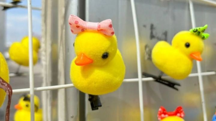 Las fotos que mejor describen el 2024 en Guanajuato