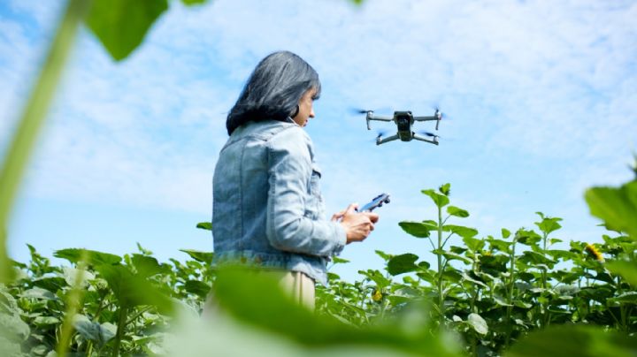 Los drones están revolucionando la industria de la agricultura: Seguritech Privada