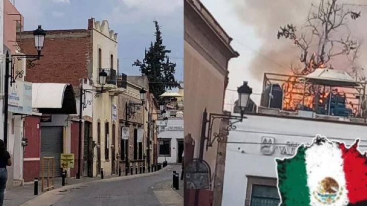Se incendia el gran árbol de cedro blanco de la zona centro de León