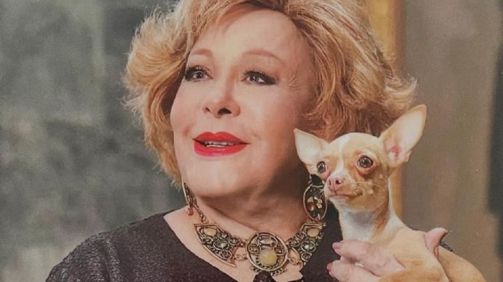 Revelan que integrante de la familia se quedará con "Cosita", la chihuahua de 15 años de Silvia Pinal