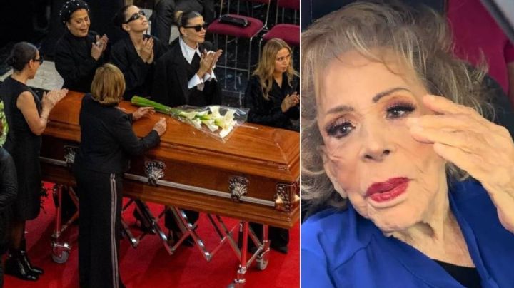 ¿Quién de los familiares se quedará con la mayor parte de la fortuna de Silvia Pinal?