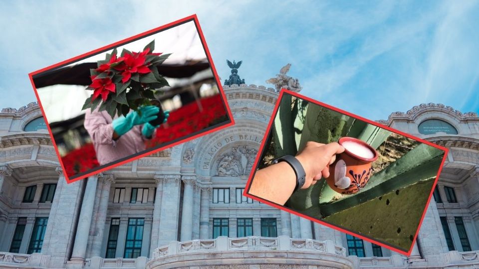 ¿Qué hacer del 6 al 8 de diciembre?