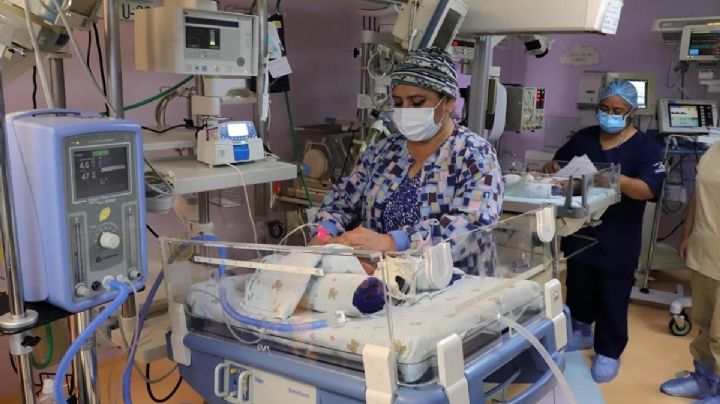 Confirma Edomex 8 muertes asociadas a la bacteria Klebsiella oxytoca