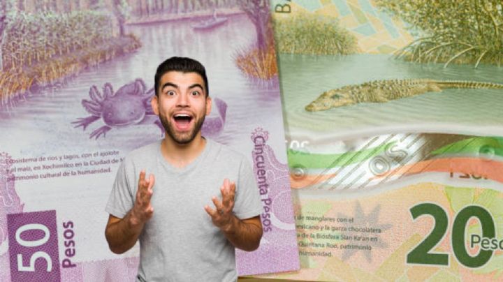 Requisitos para cobrar apoyo económico de 6,250 pesos