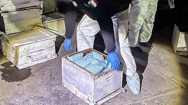 Fentanilo en México: ¿se produce o no se produce en el país?