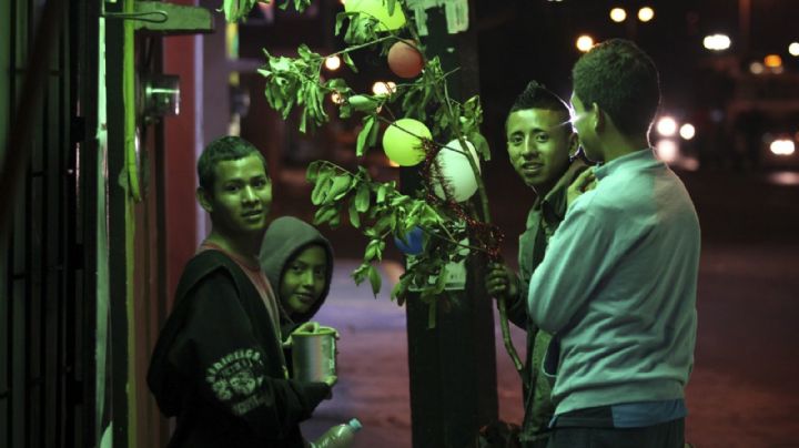 ¿Qué necesitas para salir a cantar La Rama en Veracruz?