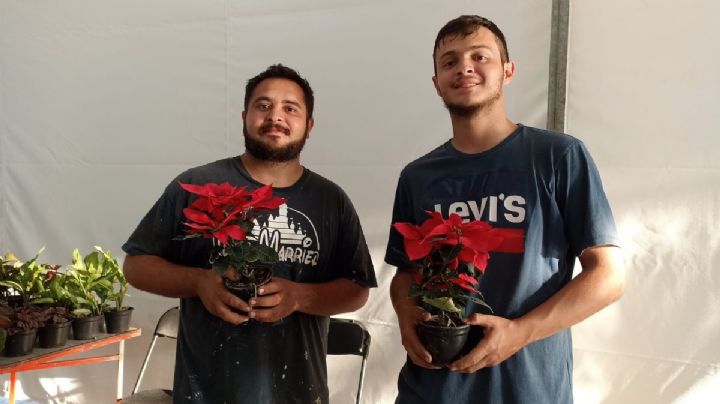 Expo Nochebuena 2024 en Veracruz: te decimos dónde y hasta cuándo