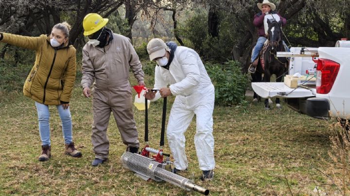 Al amanecer y anochecer Salud Hidalgo fumiga 50 kilómetros de la presa Endhó