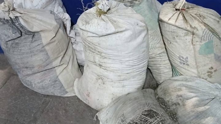 Capturan a ladrones de plata en minas de Guanajuato