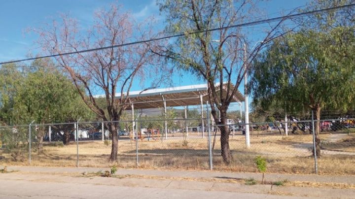 A votar otra vez en enero, ¿de qué se trata?