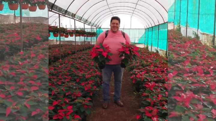 La Estanzuela, pueblo de Veracruz donde Jaime y otras familias siembran y exportan Nochebuenas