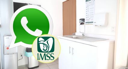 Así puedes obtener la credencial del IMSS-Bienestar por WhatsApp, ¿es seguro?