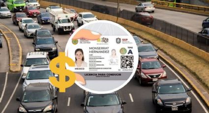 ¿Cuánto costará la licencia de conducir en Veracruz a partir de febrero?