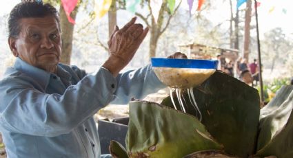 Por esto Hidalgo es considerado el primer productor nacional de pulque