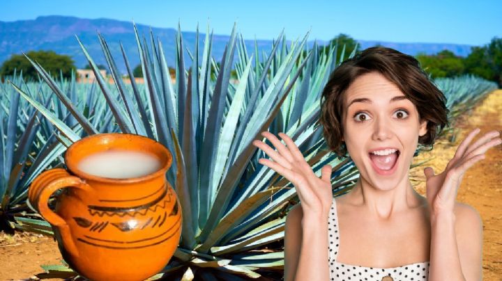 Pulque: Los beneficios que no sabías de esta bebida de los dioses