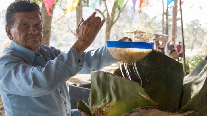 Por esto Hidalgo es considerado el primer productor nacional de pulque