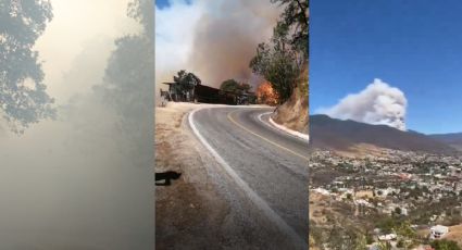 Voraz incendio consume zona ecoturística de Oaxaca; comuneros luchan por sofocarlo | VIDEO