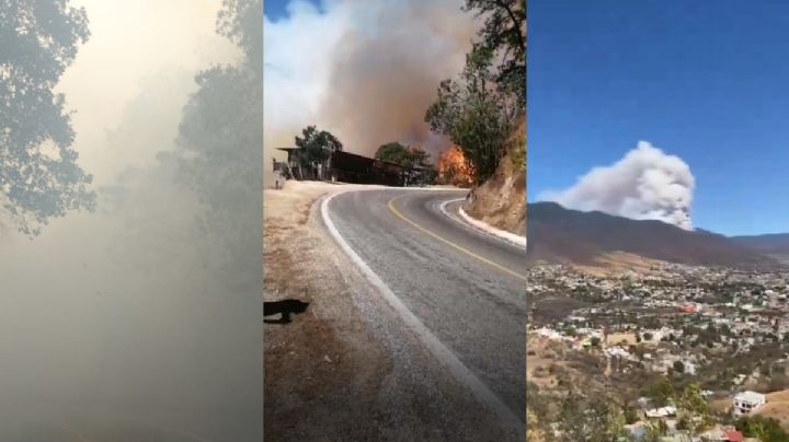 Voraz incendio consume zona ecoturística de Oaxaca; comuneros luchan por sofocarlo | VIDEO