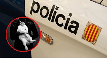 Brutal sacrificio de una mascota, la historia de horror que conmociona a España