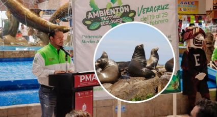 Estas serán las actividades del Ambientón Ecológico 2024 de Veracruz