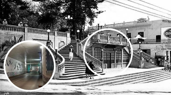 Acuario, biblioteca y mural: Así se transformó el viaducto de Xalapa