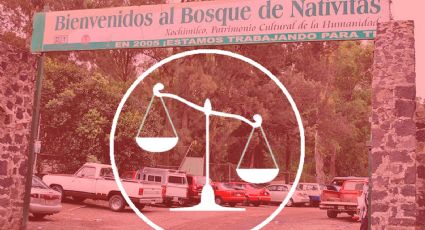 Los responsables del asesino serial de perros en Xochimilco