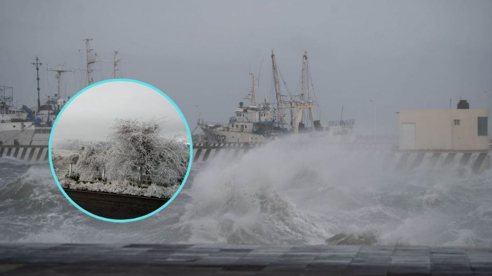 En el puerto de Veracruz se esperan vientos de 100 km/h