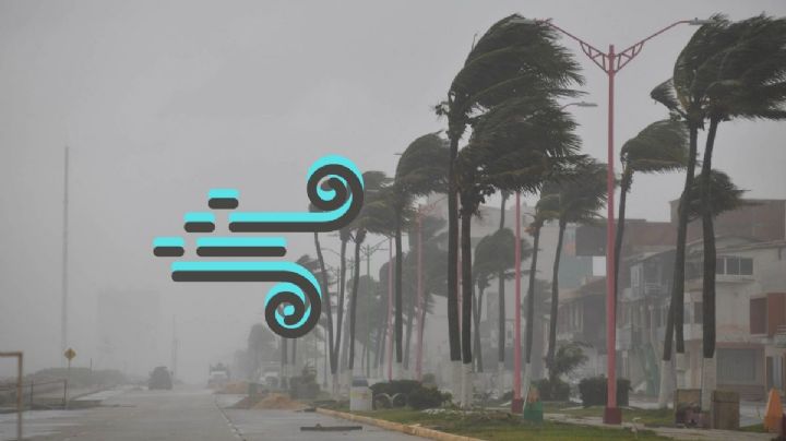 Norte explosivo: así estará el clima en Veracruz este sábado 17 de febrero