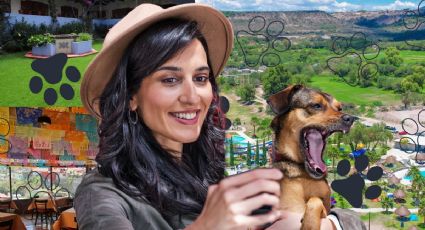 Pet friendly Hidalgo: Lugares ideales para viajar con tus mascotas