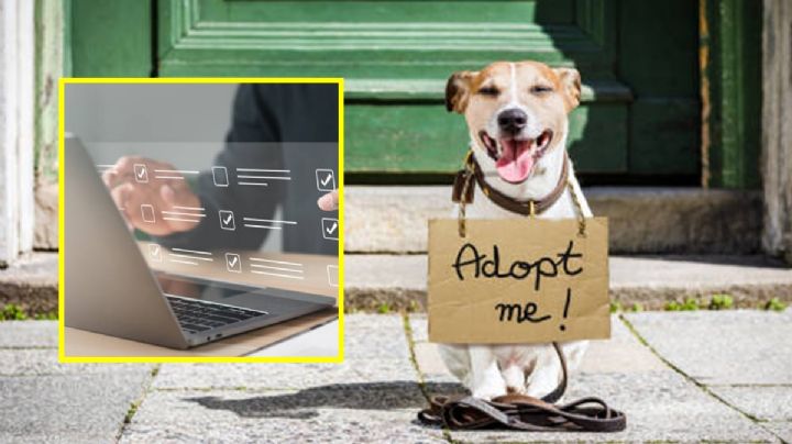 Adopta en línea, trámite más sencillo y rápido