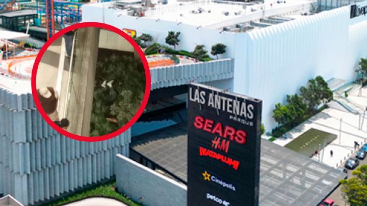 Así es la plaza comercial de la CDMX donde cayó una persona del primer piso