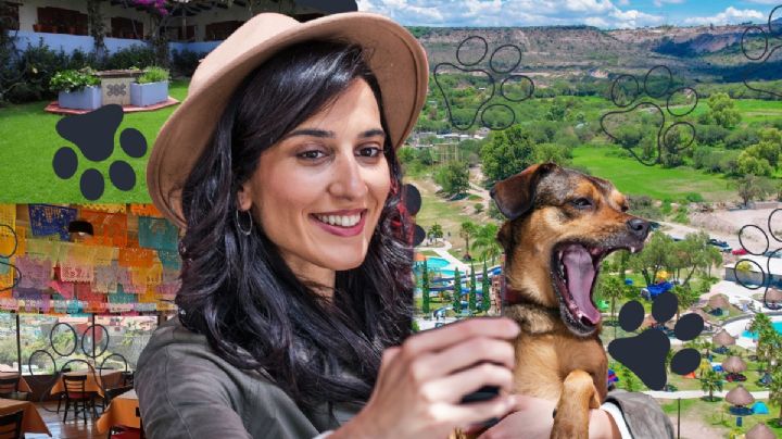 Pet friendly Hidalgo: Lugares ideales para viajar con tus mascotas