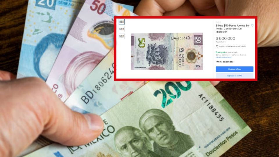 El billete de 50 pesos del 'ajolotito' es uno de los billetes más codiciados por las y los mexicanos
