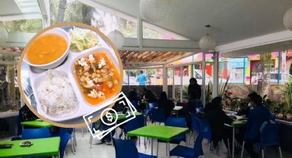 ¿Cómo recibir una beca alimentaria en la UV? Checa la convocatoria