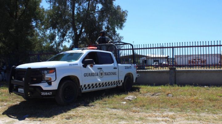 Llegan inspectores de Profepa a revisar a la elefanta Annie y no los dejan entrar