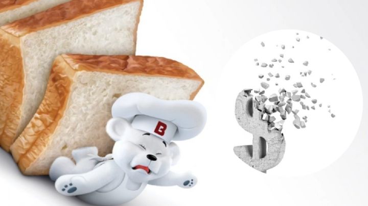 Osito Bimbo pierde 90% de ganancias: ¿por qué? Aquí te explicamos