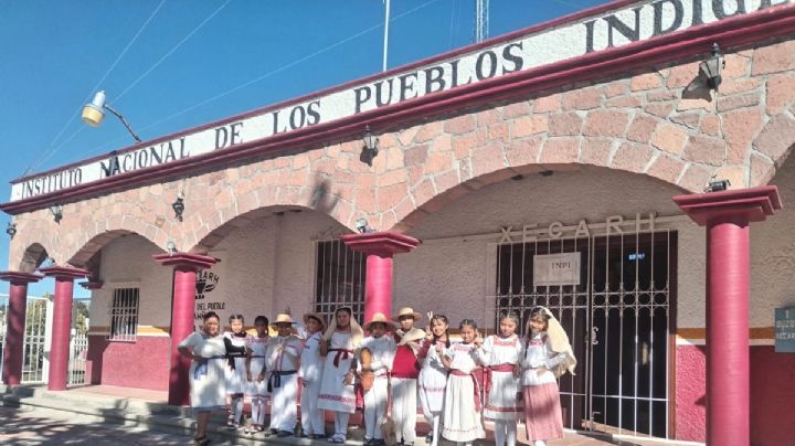 “Educación castellana contribuye a desaparición de lenguas maternas”: lingüistas