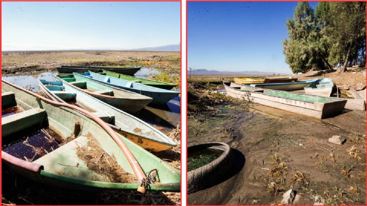 El Lago Cuitzeo en Michoacán registra su peor crisis por escasez; imágenes demuestran impacto