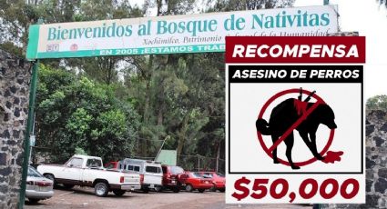 Ofrece diputada 50,000 pesos por asesino de perros de Xochimilco