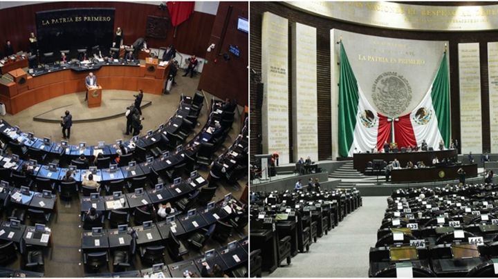Elecciones 2024:cercanos a AMLO postulados para el Senado y San Lázaro